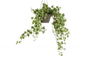 HANGING IVY FAUX PLANT